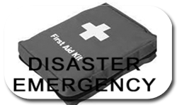 Disaster Emergency